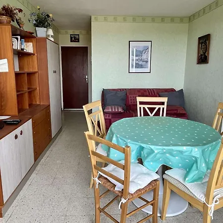 4 Pers A 500m De La Avec Tv, Lv, Ll Et Animaux Admis - Fr-1-225-219
